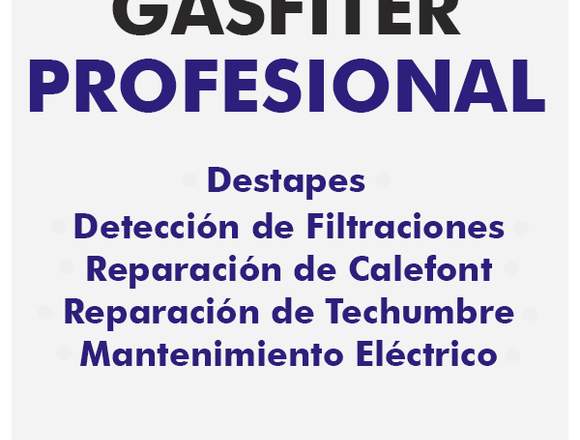 Gasfiter Profesional / Todas las Comunas