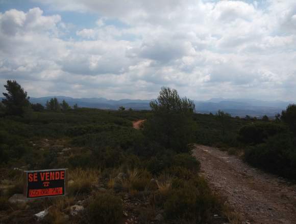 Terreno en monte San roque 