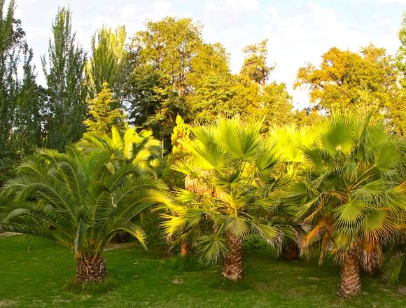 VENDE RESIDENCIA CAMINO LONQUÉN. CLUB DE GOLF