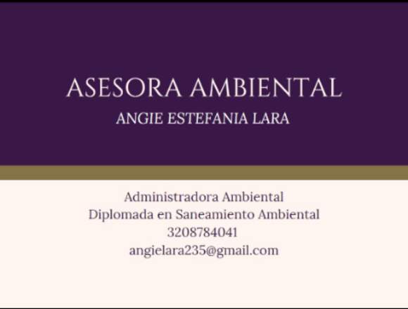 Servicio de asesoría ambiental 