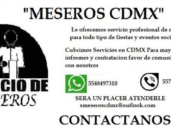 SERVICIO PROFESIONAL DE MESEROS