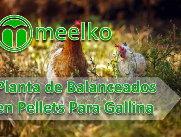 Meelko Planta de Balanceados en Pellets 