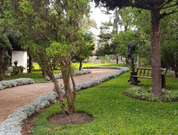 TERRENO EN PACHACAMAC VILLA EL SALVADOR