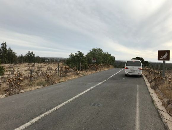 Parcela orilla camino asfaltado  Sto Domingo 