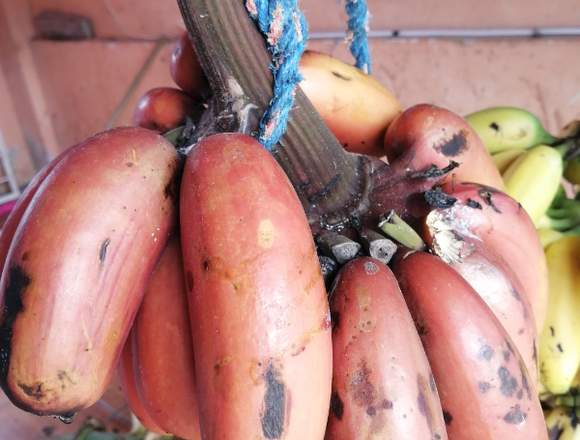 Se vende platano verde (sin conservantes) 