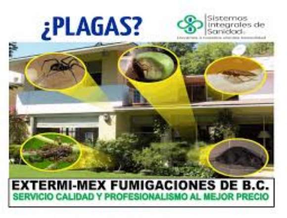 FUMIGACIONES EN TIJUANA DESINFECCION PATOGENA