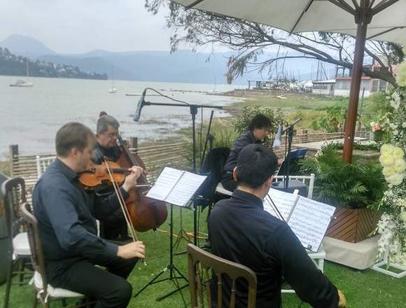 Cuarteto de cuerdas conciertos y eventos