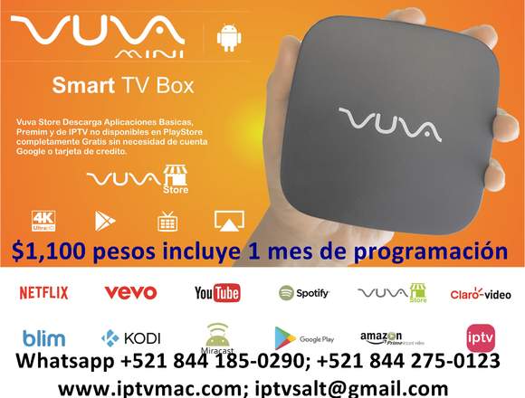 BONGO TV activación inmediata