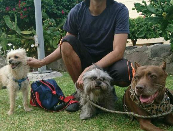 Hospedaje Canino, Cuidamos a tu mascota si viajas