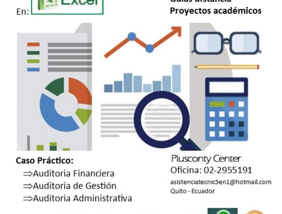 Caso practicó Auditoria