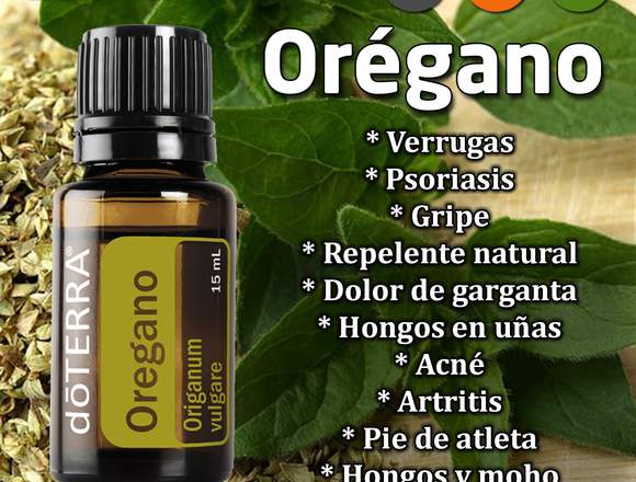 ACEITE ESENCIAL DE ORÉGANO