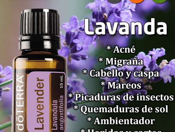 ACEITE ESENCIAL DE LAVANDA