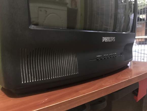 Televisor Philips 21"