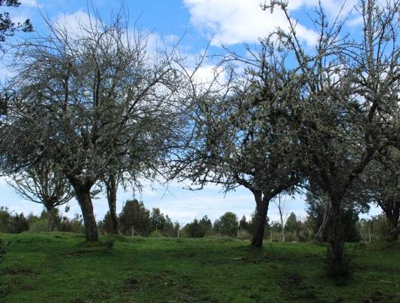 venta de hermosa parcela