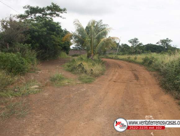 *Ganga* Finca en Venta en los Altos masaya