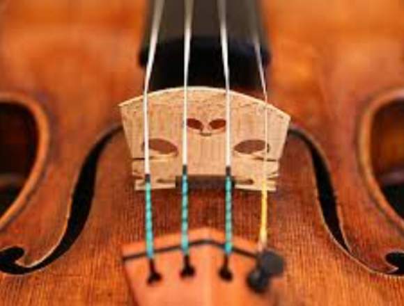 Clases de violín online