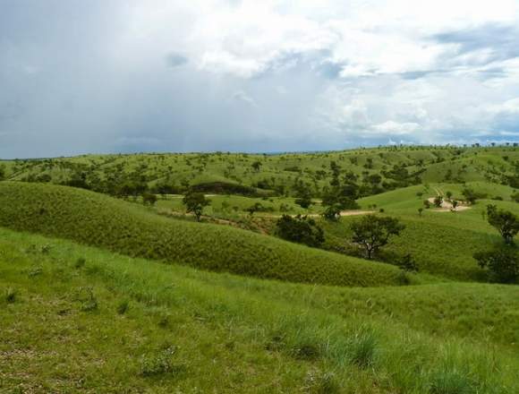 Lote de Terreno, dos potreros, laguna y quebradas