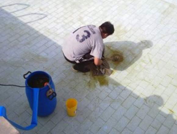 REPARACION DE JACUZZI ,PISCINAS SAUNAS.MIRAFLORES 