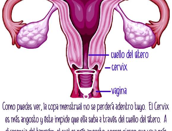 Copa silicona platino menstrual+vaso esterilizador