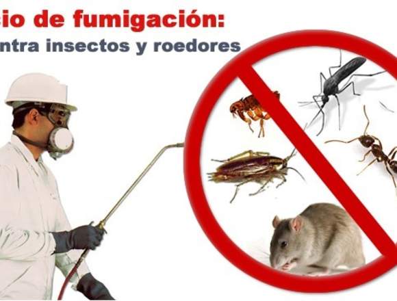 Desratizacion Y Fumigacion, Control de Plagas‎