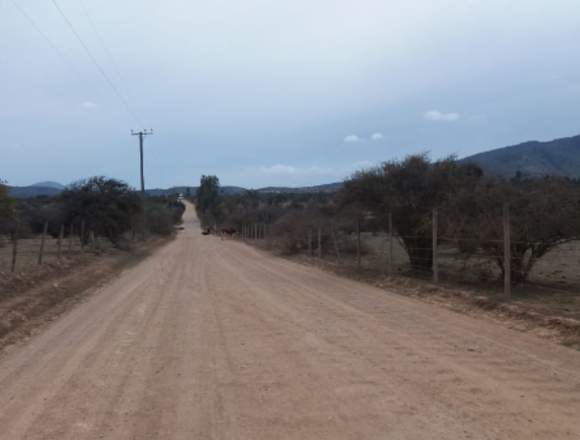 SE VENDE PARCELA EN LA COMUNA DE ZAPALLAR .