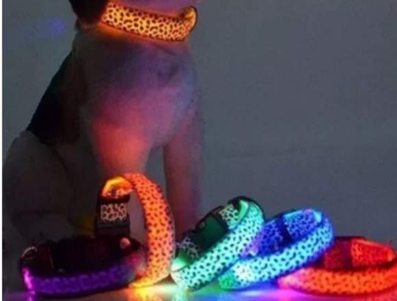 LINDOS COLLARES LED PARA PERROS