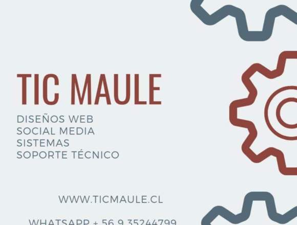 TIC MAULE soluciones informáticas