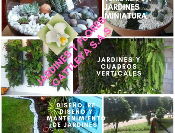 diseño, re-diseño y mantenimiento de jardines 