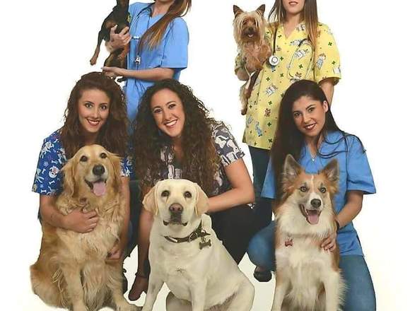 Curso Auxiliar de Veterinaria (ATV)