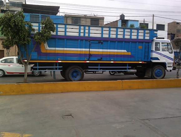 CAMION HYUNDAI DE 12 TONELADAS