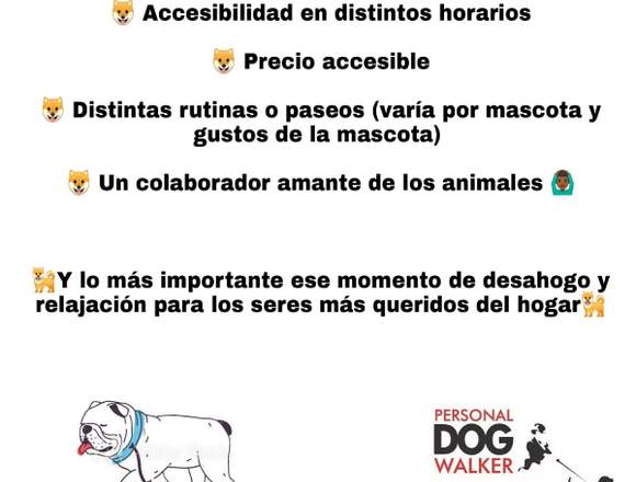 Servicio Paseador de Perros