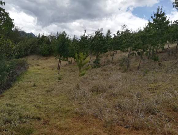 Venta lote simijaca-boyaca