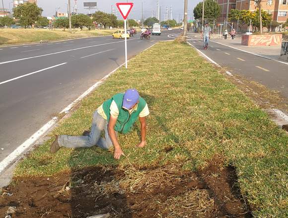 VENTA DE PRADO  NATURAL 