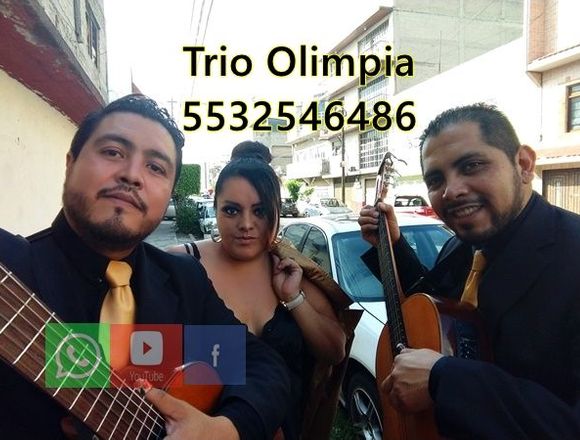 contratar trios musicales en la ciudad de mexico