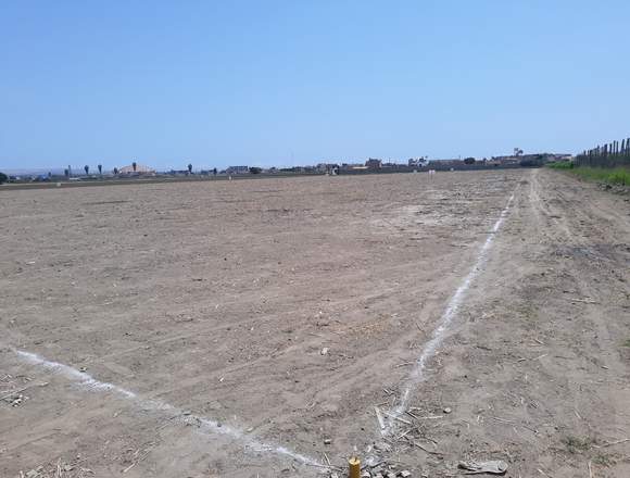 Lotes de 500mt2 cañete san vicente