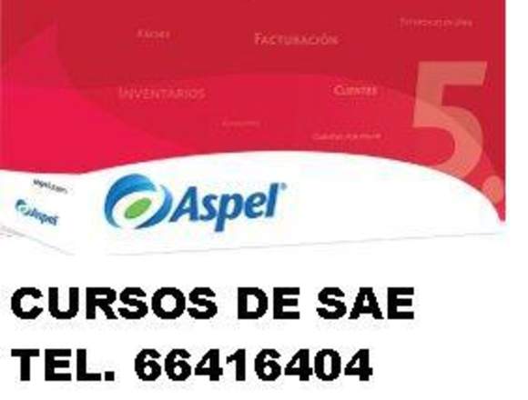 CURSO ASPEL SAE CURSO BÁSICO 6.0  