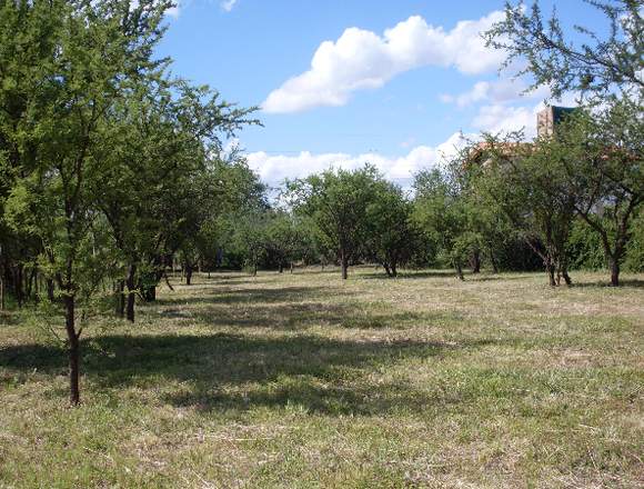 Merlo SAN lUIS TERRENO EN VENTA