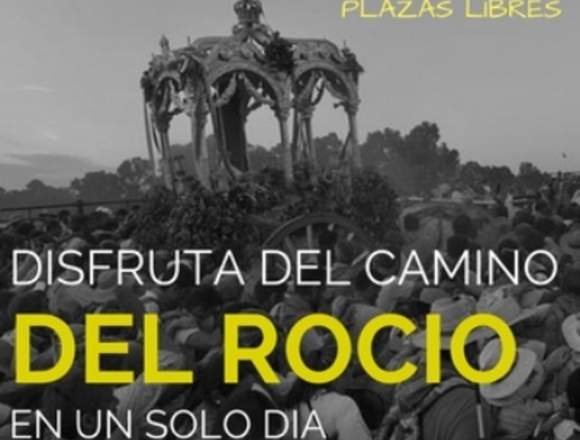 PEREGRINACIÓN AL ROCÍO 2018