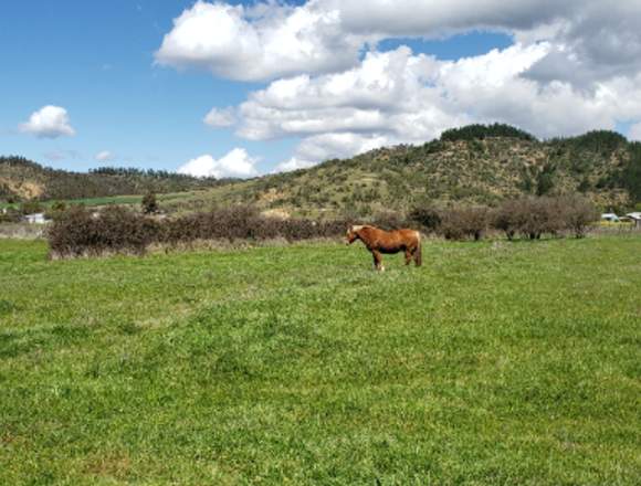 PARCELAS DE RIEGO EN PICHILEMU