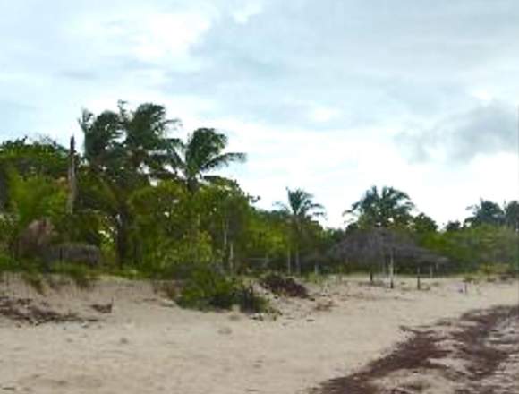 Lotes de Playa a credito en San Crisanto Yucatan