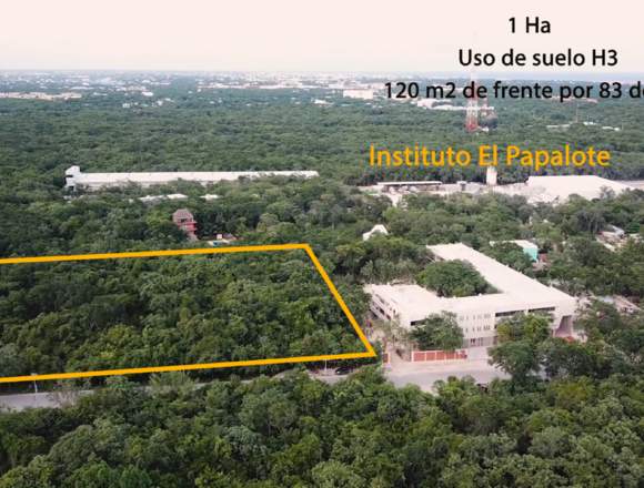 Terreno de 1 hectárea en venta en Playa del Carmen