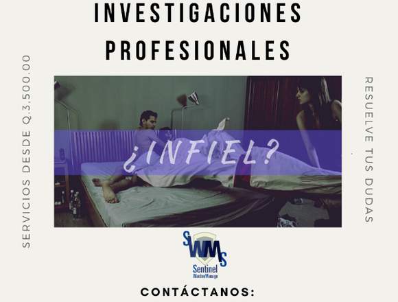 Servicios Profesionales de Investigación