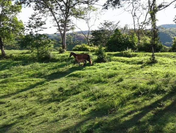 Hermosa finca en La Dorada Caldas 