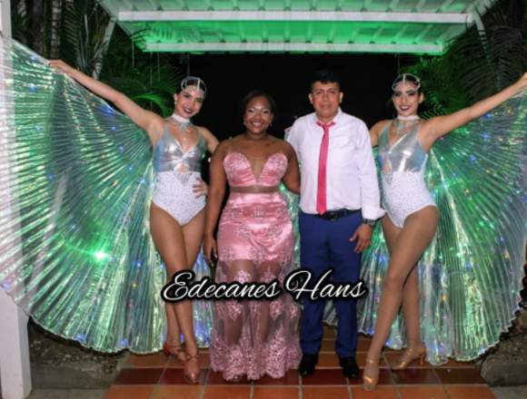 Show de Alas de Asis de Led