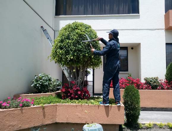 JARDINERÍA Y PAISAJISMO