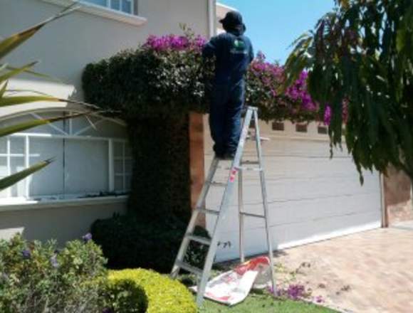 SERVICIO DE JARDINERÍA Y PAISAJISMO