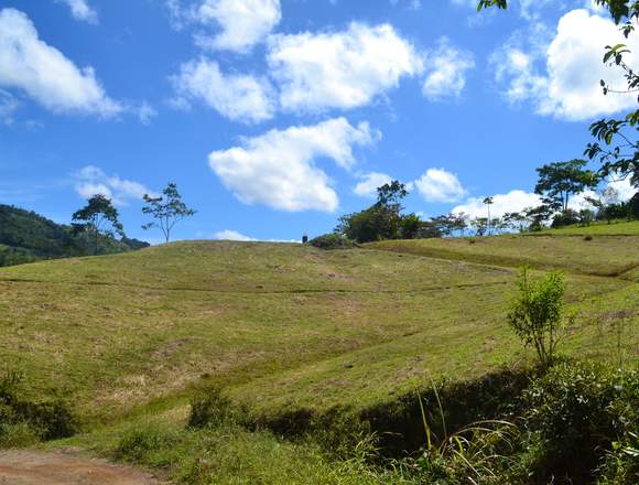 Se vende Finca en Tayutic de Turrialba