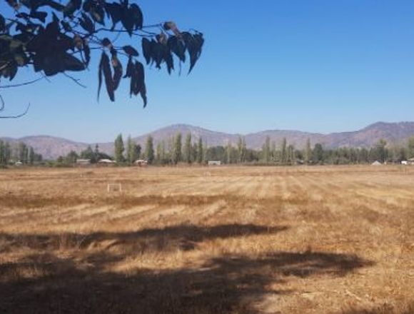 Parcelas planas en el Valle de Colchagua