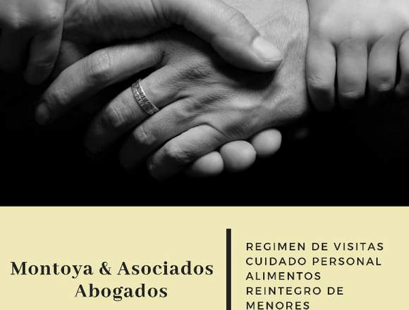 Estudio Jurídico de Familia - Alimentos - Visitas 