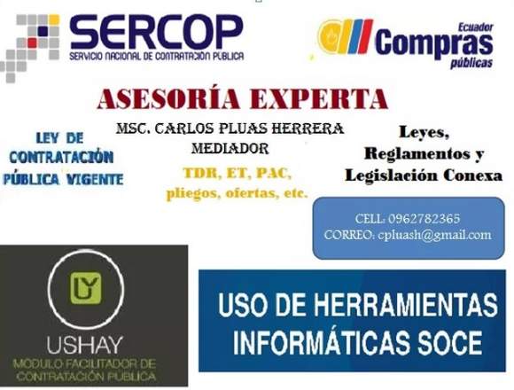 ASESORÍA DE COMPRAS PÚBLICAS